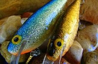 Crankbaits from Pomerania