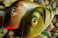Jerkbaits