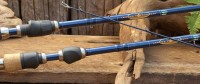 Legend Tournament Bass