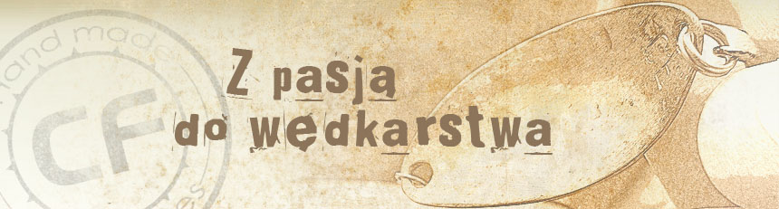 start4.jpg