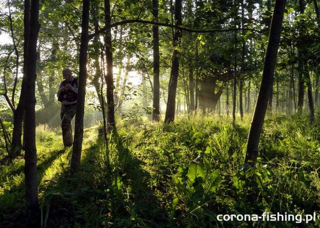 wschód słońca nad rzeką