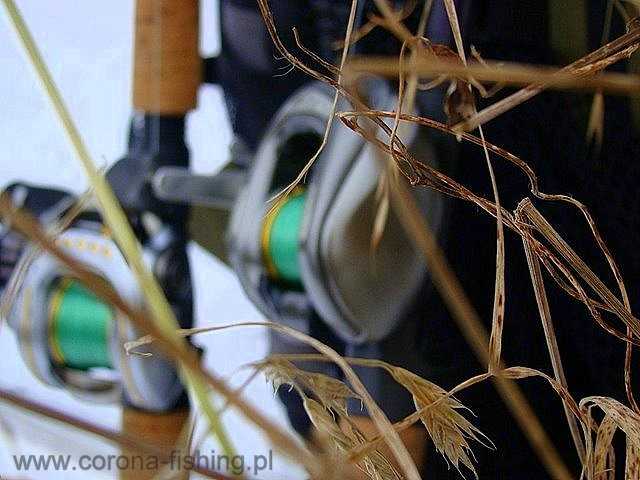 kołowrotek multiplikator