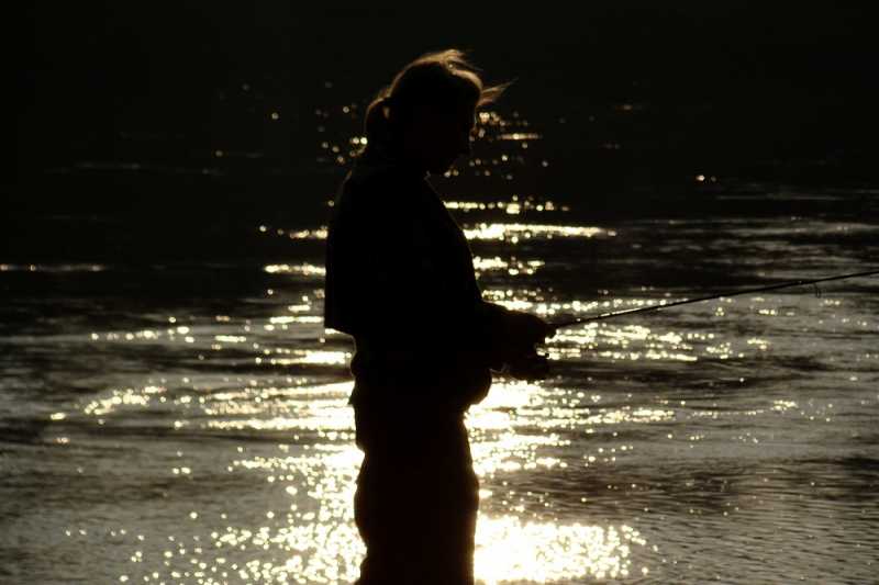 Opowieść o pstrągach i puzoniście misiu