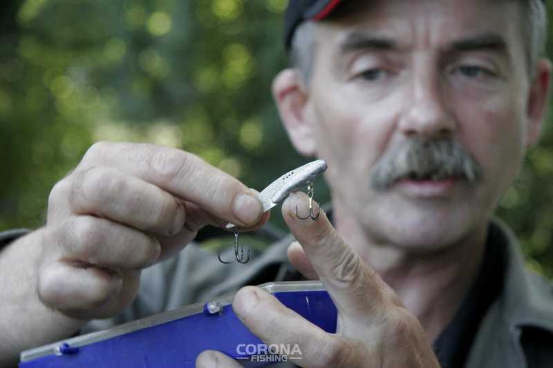 Sławek Szuszkiewicz cykady