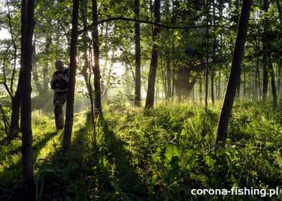 wschód słońca nad rzeką
