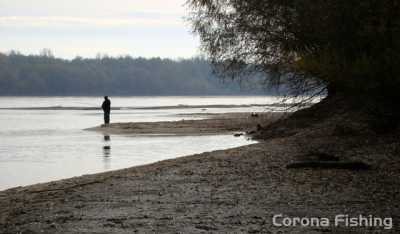spinning duża rzeka