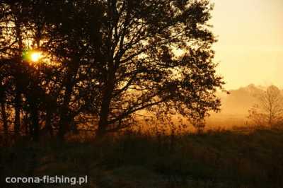 wschód słońca nad rzeką