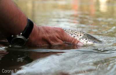 Spotkanie z czerwoną kropką. Cześć 2