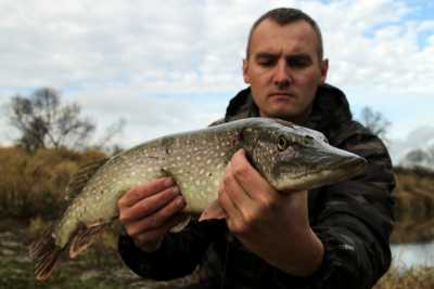 szczupak na wahadłówkę