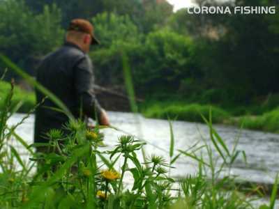 rzeka kleń na spinning