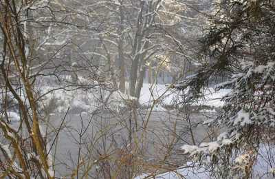 łowienie troci w rzece