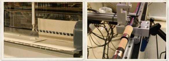 Z wizytą w St. Croix