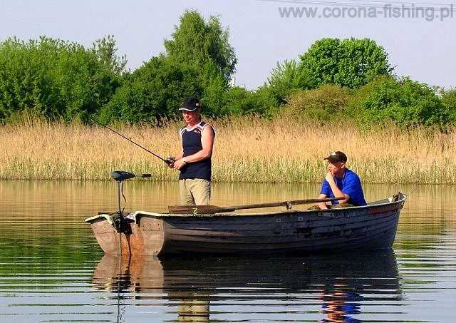 multiplikator jak używać