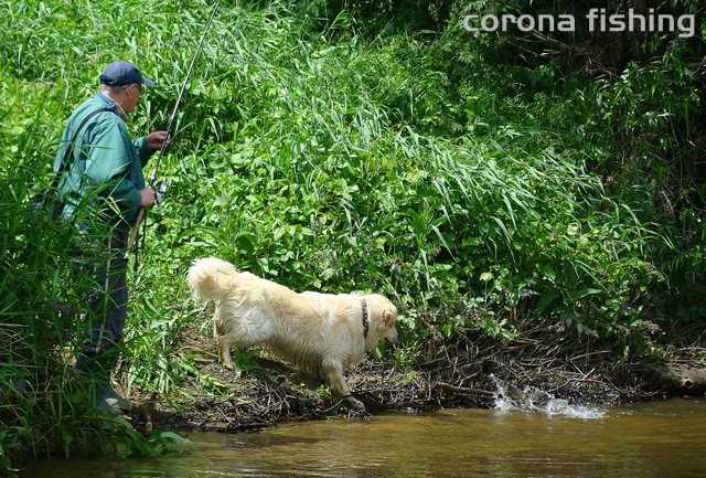 Jak zapłakałem razem z rzeką.