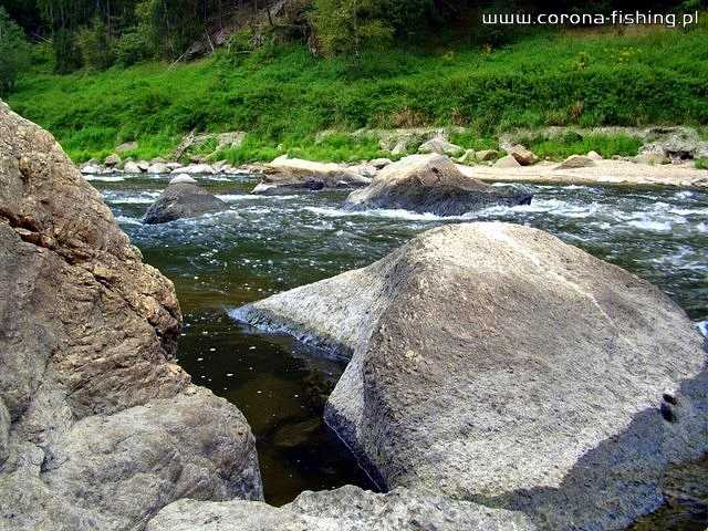 Czerwone wytrawne.