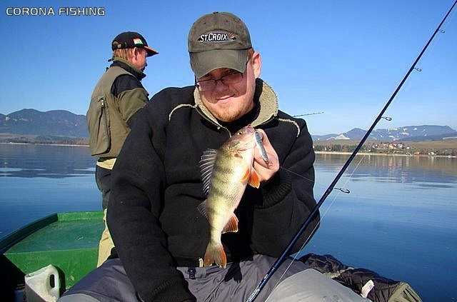 Jak łowić sandacza w głębokiej wodzie