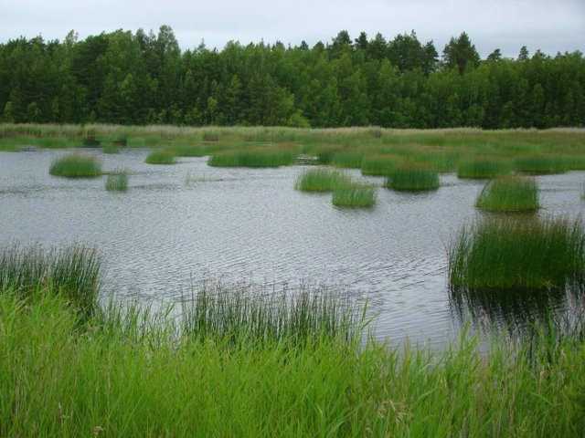 Baby na rowerach - czyli polowanie na Fińczyka.