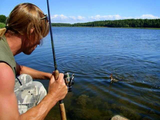 Baby na rowerach - czyli polowanie na Fińczyka.