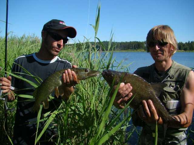 Baby na rowerach - czyli polowanie na Fińczyka.
