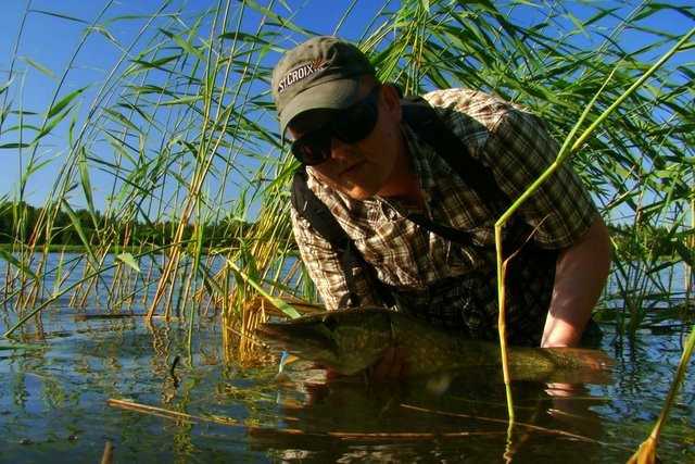 Baby na rowerach - czyli polowanie na Fińczyka.