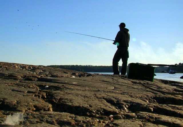 Baby na rowerach - czyli polowanie na Fińczyka.