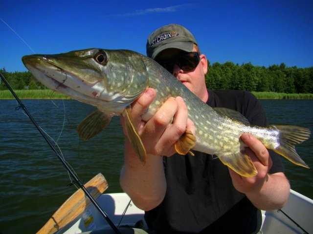 Baby na rowerach - czyli polowanie na Fińczyka.