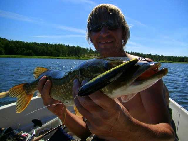 Baby na rowerach - czyli polowanie na Fińczyka.