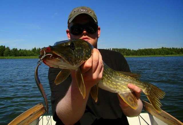 Baby na rowerach - czyli polowanie na Fińczyka.