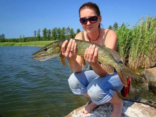 Baby na rowerach - czyli polowanie na Fińczyka.