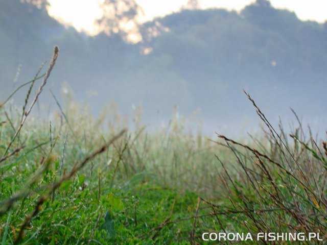 Pamiętnik starego Lorbasa