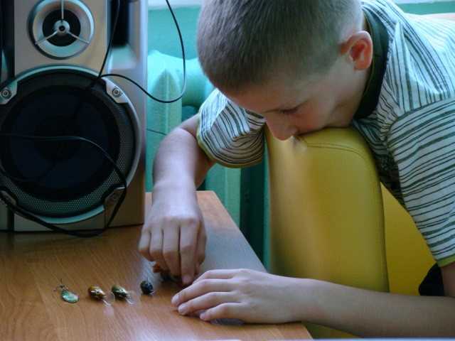 Pierwsze spotkanie z Sumikami