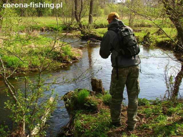 wędkowanie na mereczance