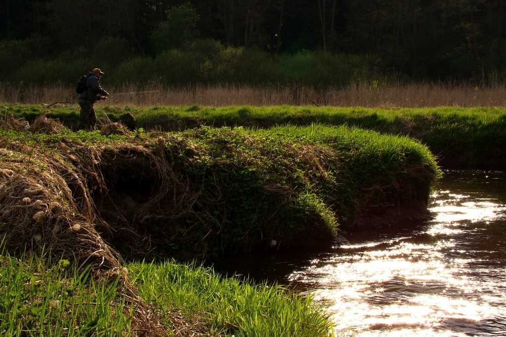 Opowieść o pstrągach i puzoniście misiu