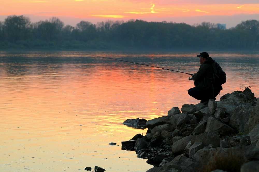 Opowieść o pstrągach i puzoniście misiu