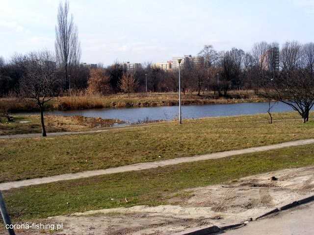 Corona Fishing na rzecz Jeziorka Gocławskiego