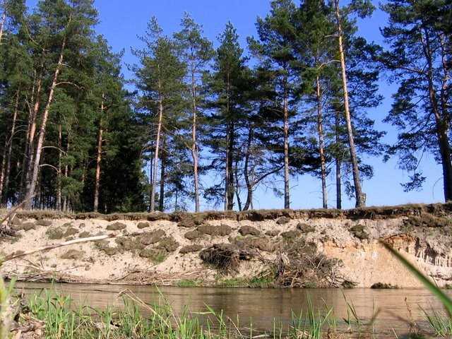 czysta rzeka
