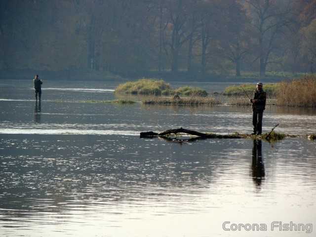 Odrzańskie główki