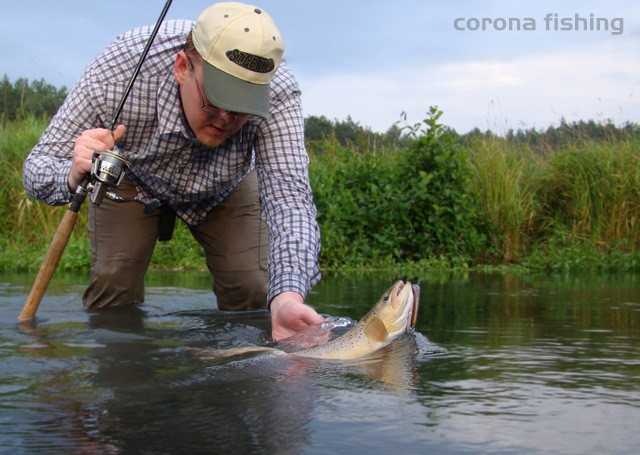 holowanie pstrąga