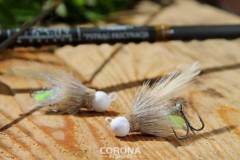 jakie koguty na pstrąga