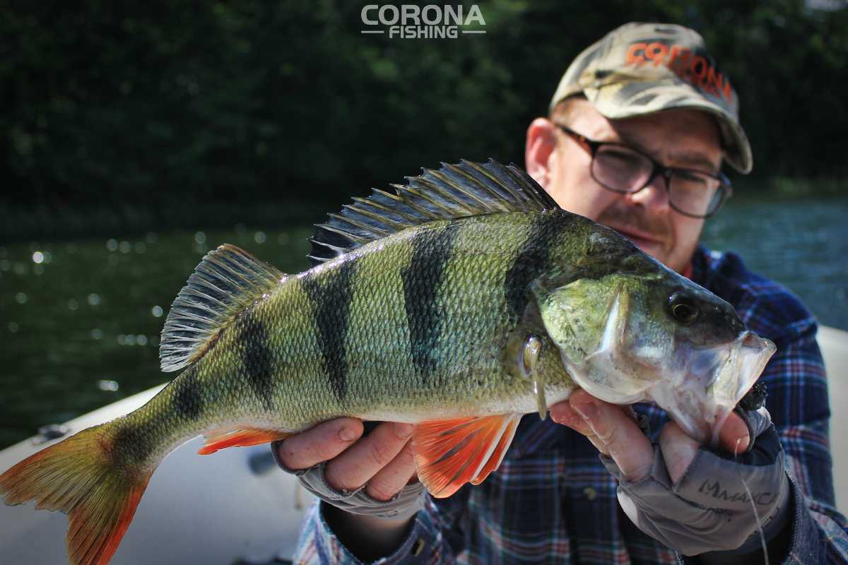 Storsjön, czyli prawdziwe wędkarstwo w Szwecji