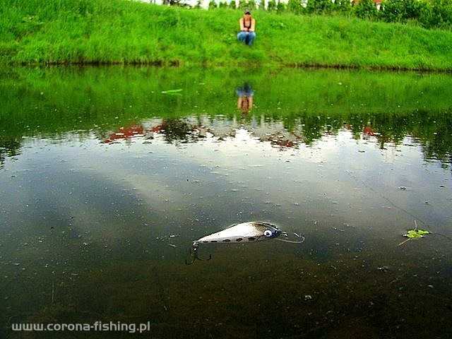 Wędkowanie w wersji light