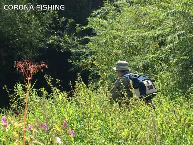 podejście do łowiska