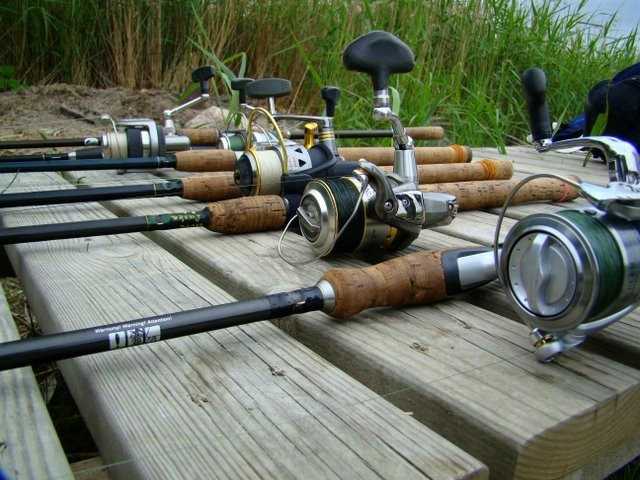 Baby na rowerach - czyli polowanie na Fińczyka.