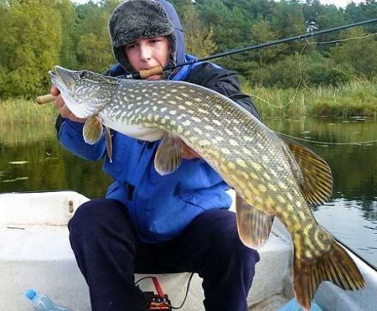 Kilka dni z życia szaleńca.