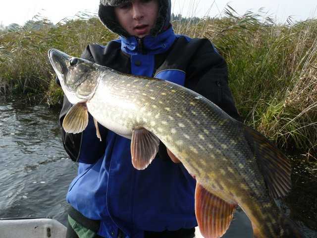 Kilka dni z życia szaleńca.