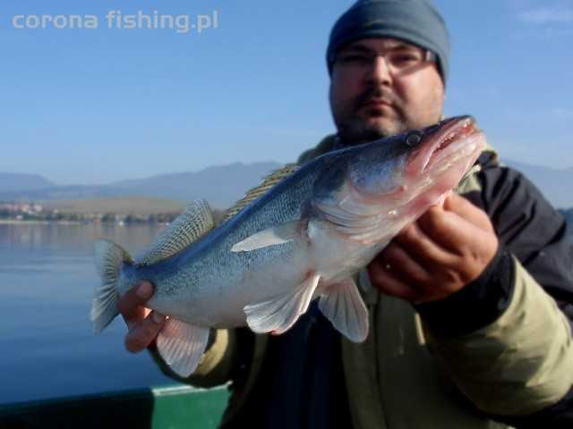 sandacz zbiornik zaporowy