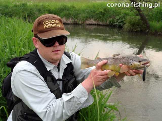 pstrąg na wobler