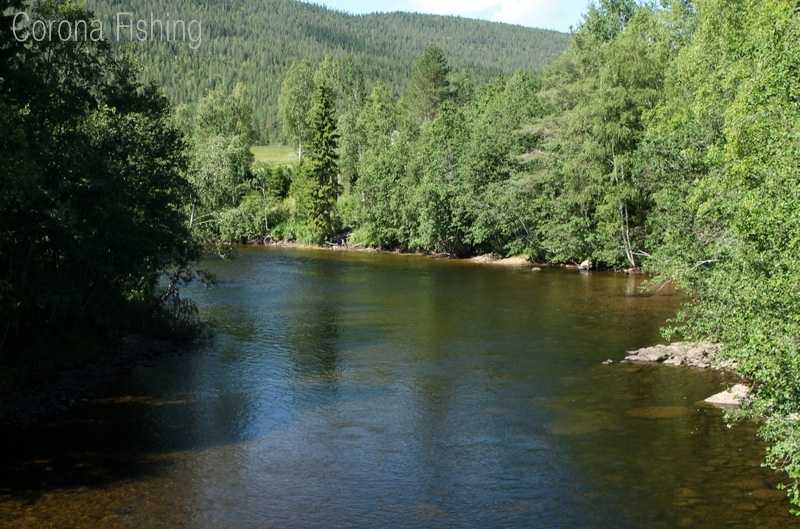 W poszukiwaniu rzeki Samów