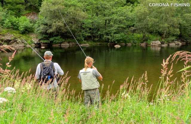 Deszczowe lorbaski... Czyli pstrągi w Norwegii.