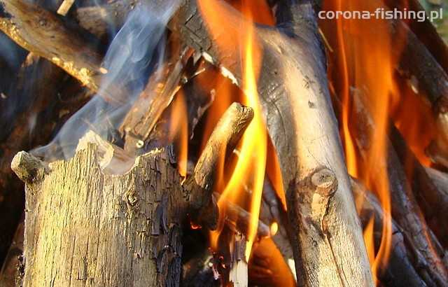 ognisko na rybach